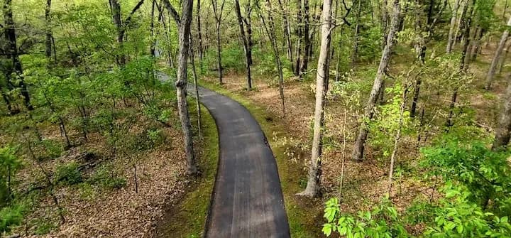Wooded driveway winding through the trees