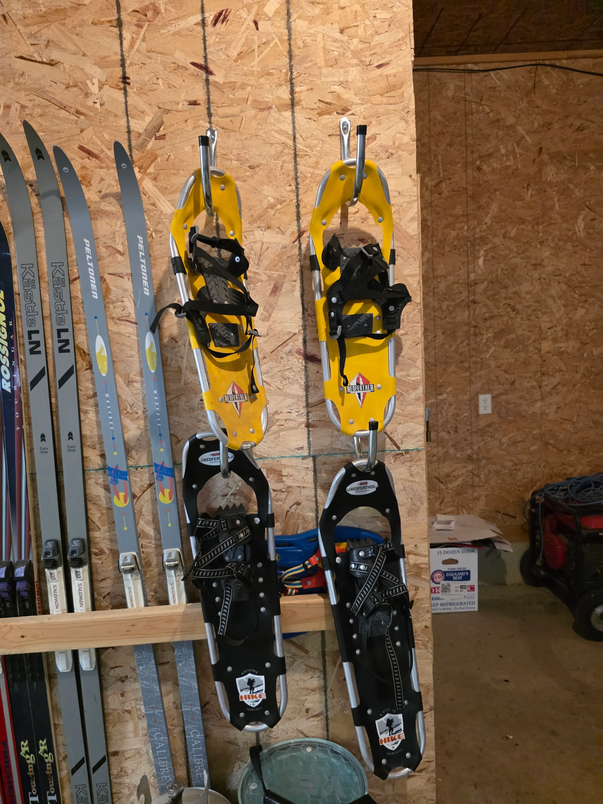 Cross-country skis and snowshoes